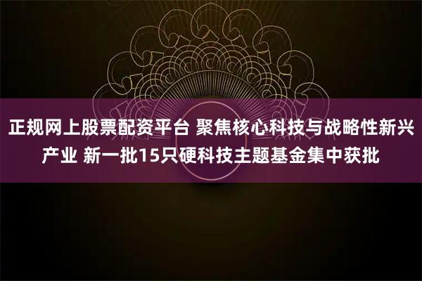 正规网上股票配资平台 聚焦核心科技与战略性新兴产业 新一批15只硬科技主题基金集中获批